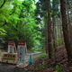 Image for article titled The cars of the Fukushima Nuclear Exclusion Zone